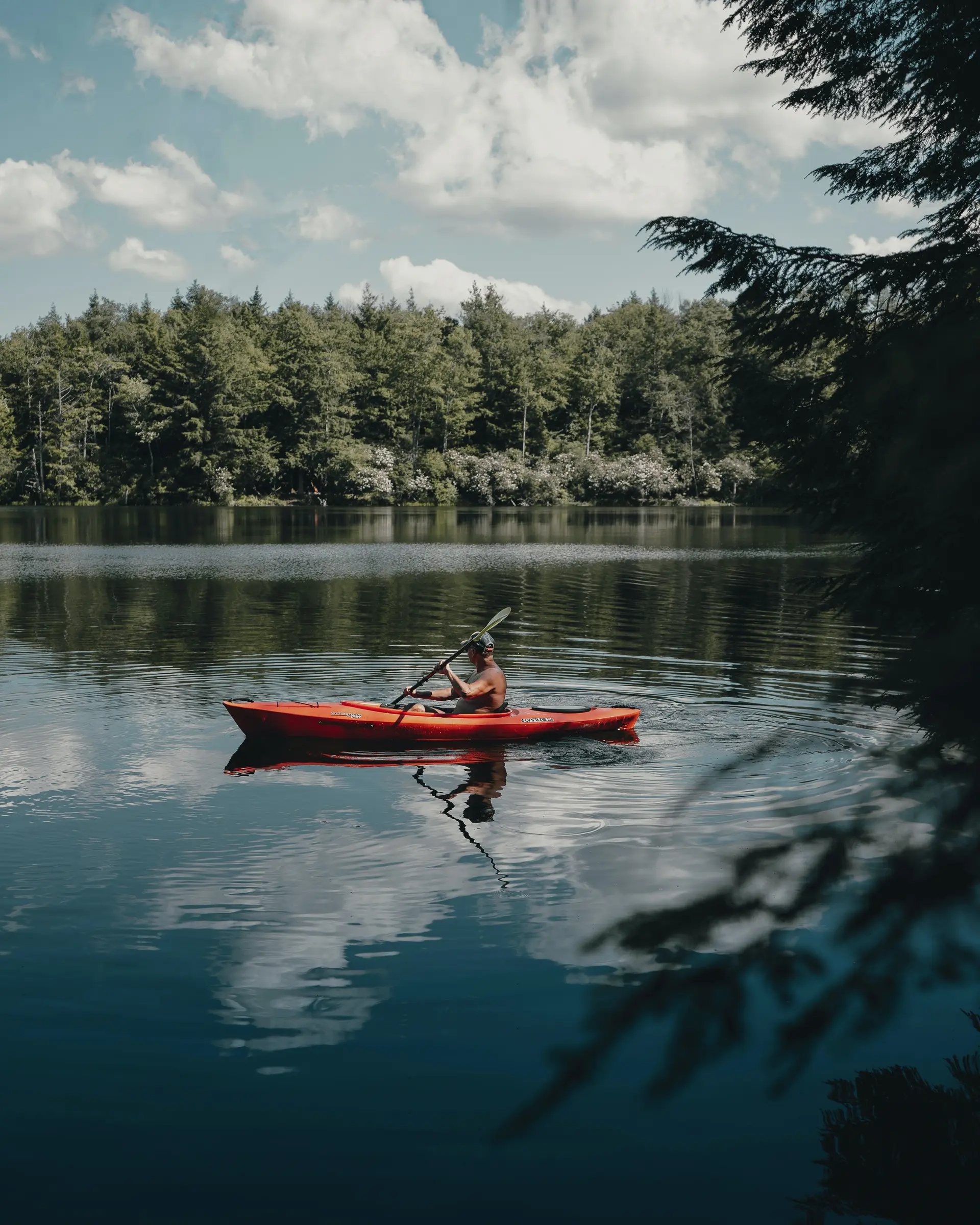 Lake Effects boat rental photo