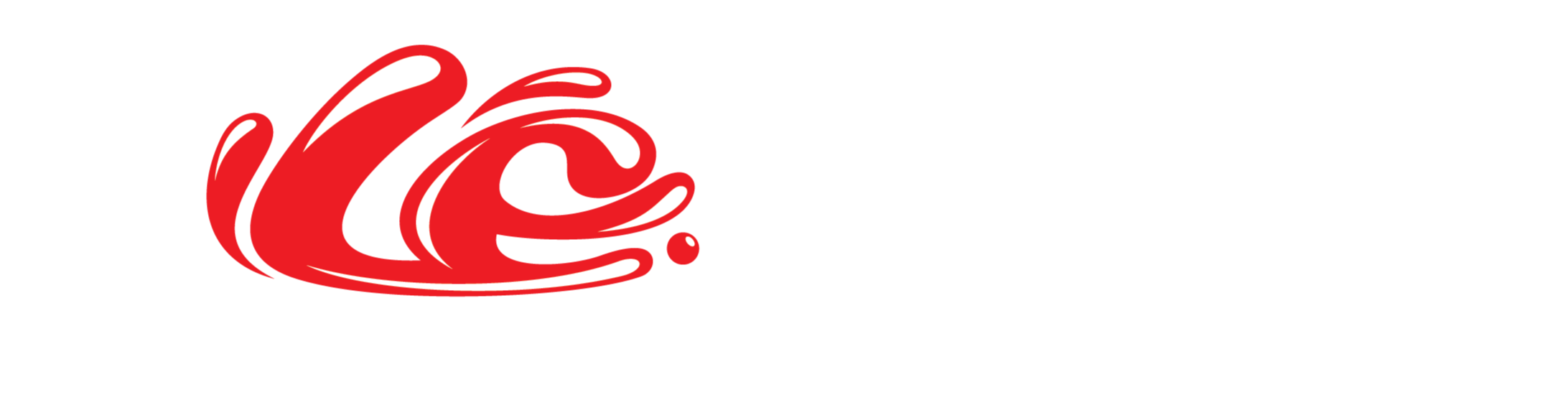 LE Boat Rentals White_edited.png